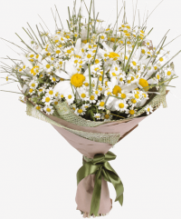 Букет «Лес» Букет «Лес»