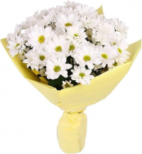 Букет «Ромашка» Букет «Ромашка»